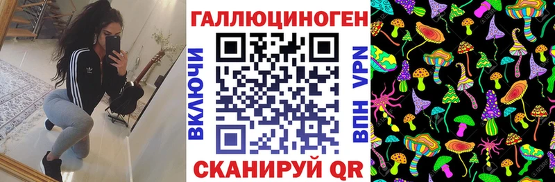 omg   Новый Оскол  Псилоцибиновые грибы Magic Shrooms 